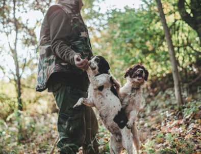 Trainer and his happy dogs in the wood during the truffle hunt in the wood