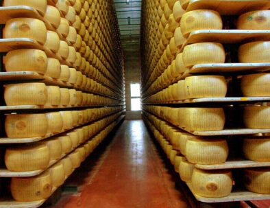 Parmigiano Reggiano cheese wheels on shelves - Food Valley Tour by Timeless Tuscany