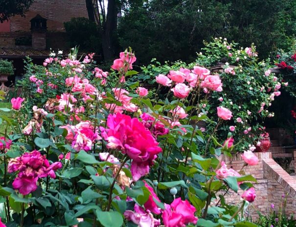 villa-dei-fiori-pink-roses