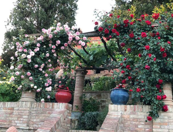 villa-dei-fiori-pompeian-roses